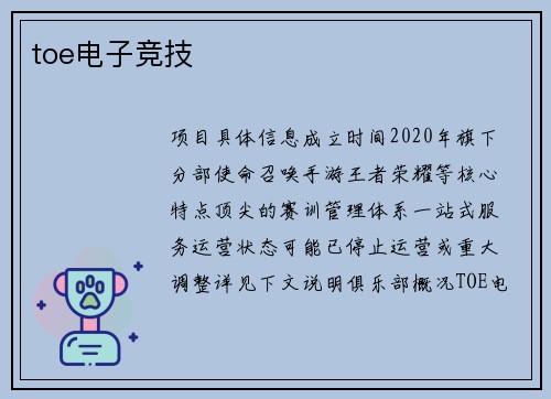 toe电子竞技